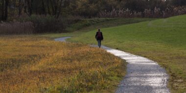 Jak jsem potkala rakovinu IV. Cesta k uzdravení