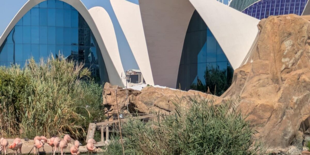 Valencie: Futuristická kráska i syrové Španělsko bez přikrášlení